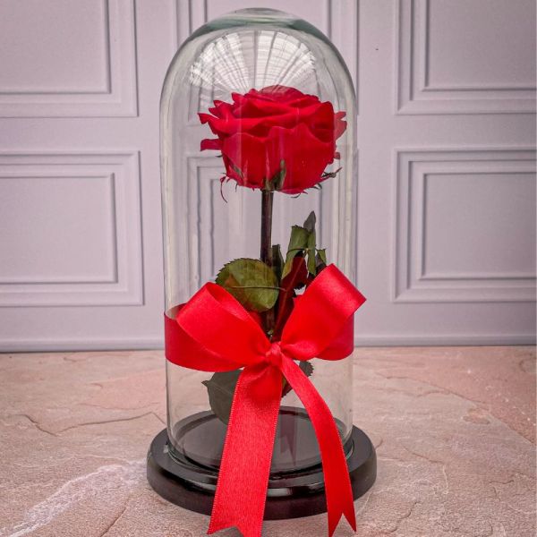 Urna de rosas leofilizadas